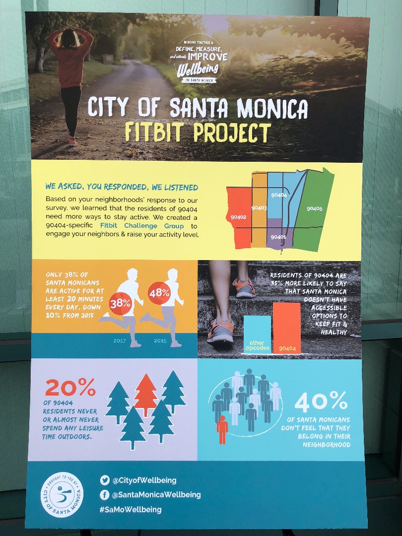 Fitbit Project Poster